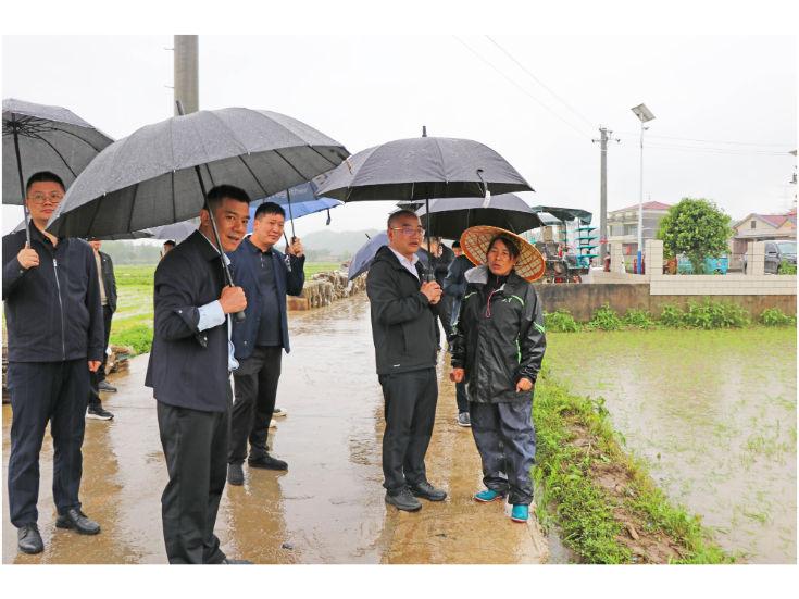 【大兴调查研究】刘琦赴路南片区调研春耕生产、防汛备汛和地质灾害防治等工作