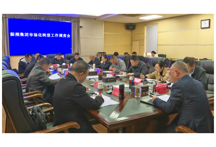 刘琦主持召开振湘集团市场化转型工作调度会