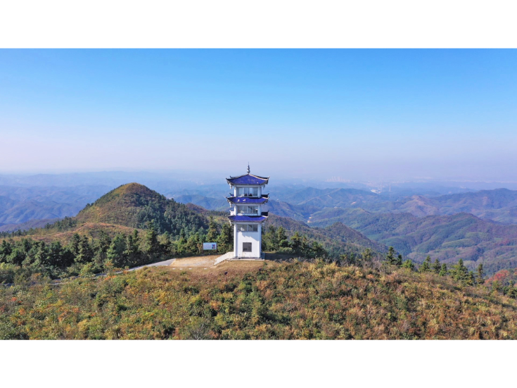 夫妻同心守山林 薪火相传护青绿