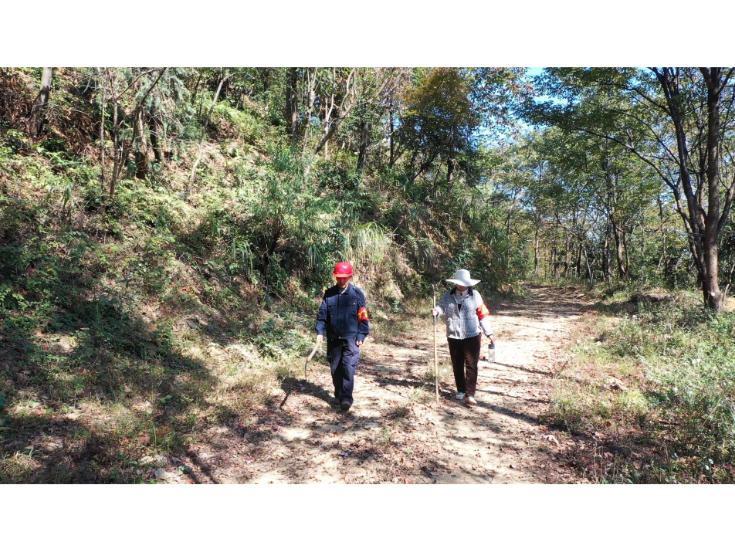 夫妻护林员巡山排险 筑牢五尖山防台风防线