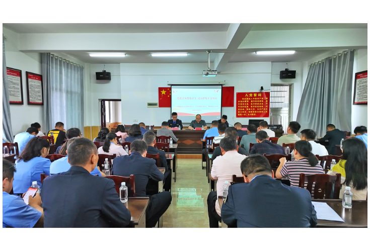 桃林镇：党建引领“禁炮打非”  党员护航平安村居