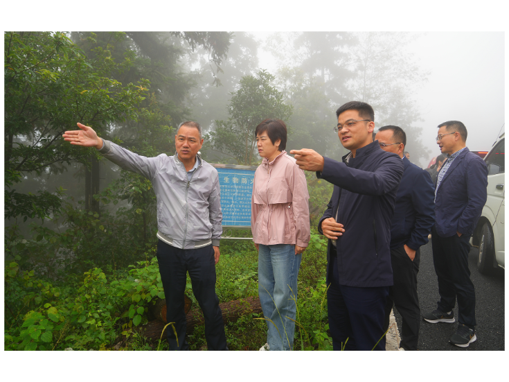 雷欣来我市督导国庆假期安全生产、社会稳定、生态环保等重点工作