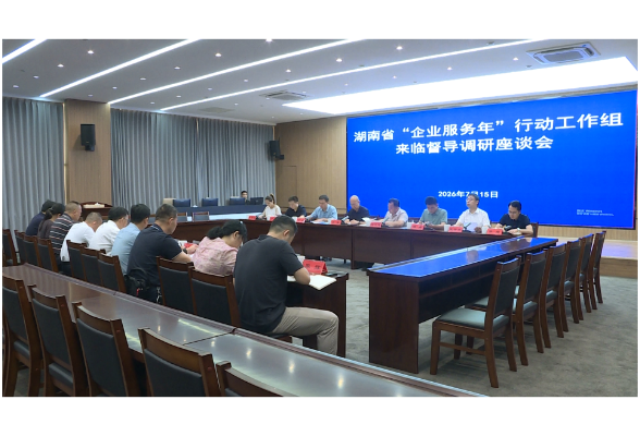 【大兴调查研究】省“企业服务年”行动工作组来我市督导调研相关工作