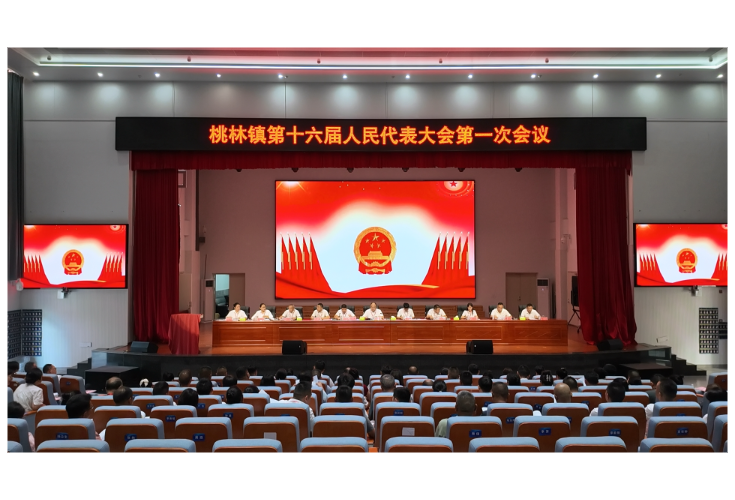 桃林镇第十六届人民代表大会第一次会议召开