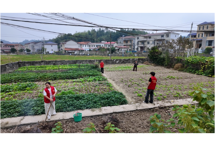 忠防镇木形村：秸秆禁烧守蓝天 多措并举护生态