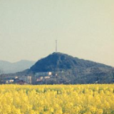 蓼水河·郴侯山·古书院