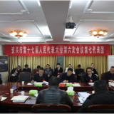 龙柏武参加第七代表团审议