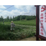 唐洞街道获评2019年综合绩效评估优秀乡镇（街道）