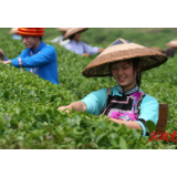【湖南高质量打赢脱贫攻坚战】奋力书写精准扶贫时代答卷