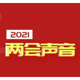 两会声音｜坚守为民初心  提高社会治理能力