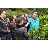 一堂生动的柑橘种植培训课