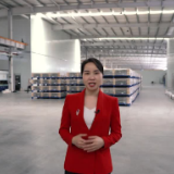 跟着峥嵘书记看资兴产业项目建设情况（二）