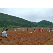上任即奔跑！资兴市各乡镇新一届党委领导班子干好履新第一件事
