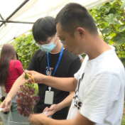 资兴迎接省级农产品质量安全监督抽查