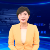发展全过程人民民主（三）代表履职勤为民