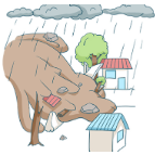 【图解】暴雨来临如何避险？这份防灾指南请收！
