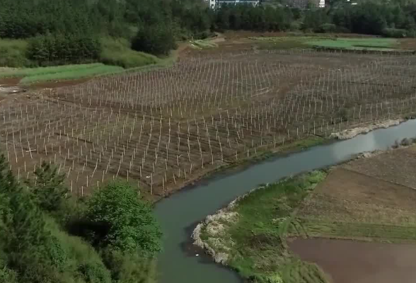 普利桥种粮记春耕篇 第一集