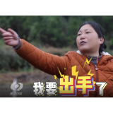 普利桥种粮记春耕篇 第四集