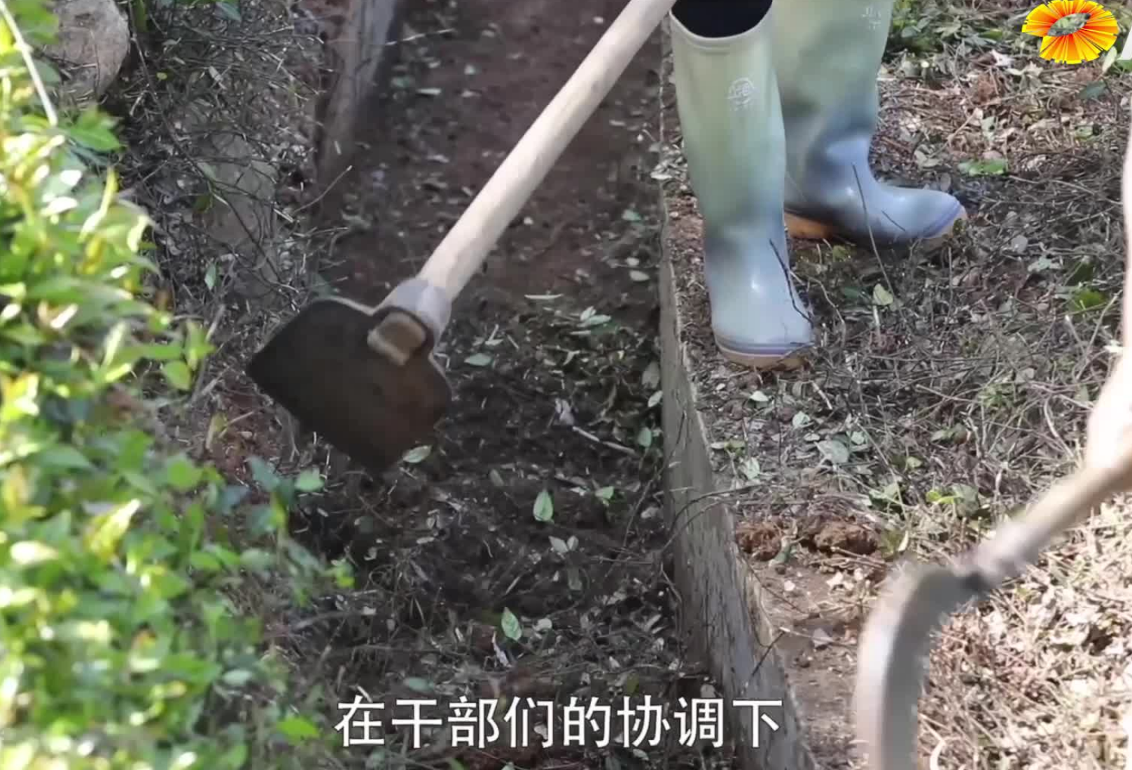 普利桥种粮记春耕篇 第十集