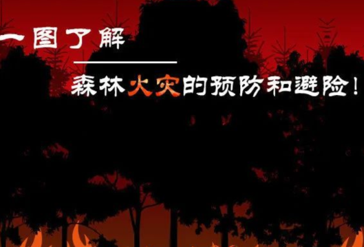 【科普】一图了解森林火灾的预防和避险