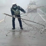 资兴交警大队积极应对雨雪冰冻天气