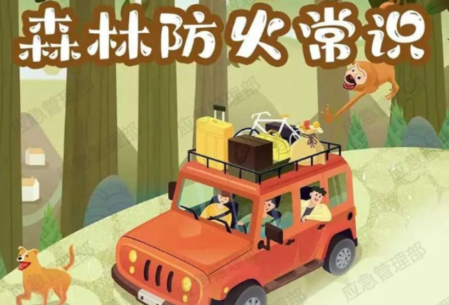 假期出游，森林防火要注意！