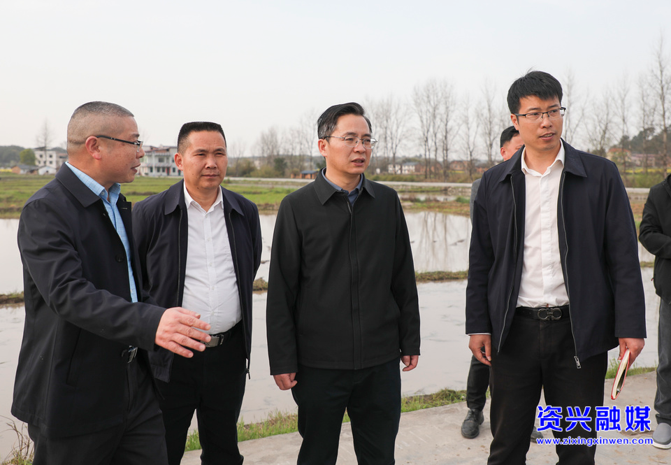 大兴调查研究 | 推进乡村振兴  建设和美乡村