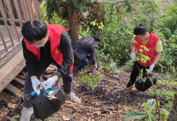 黄草镇开展学雷锋志愿服务活动