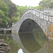 春分已至 春意正好