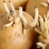 注意！这些食品，学校食堂禁用、慎用！