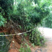 东江街道栗脚村：园丁路山体滑坡 紧急抢险保通行