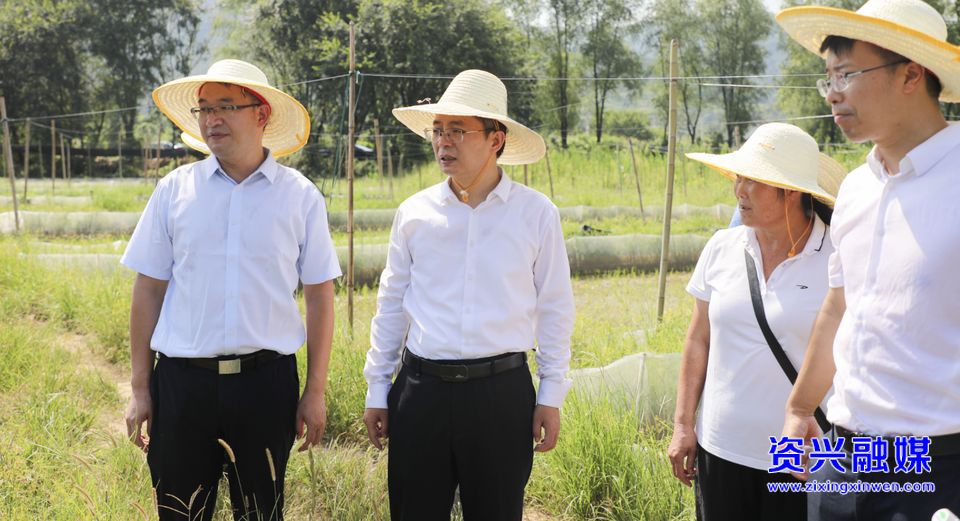 走基层 找问题 想办法 促发展｜切实守牢耕地保护“红线”和粮食安全“底线”