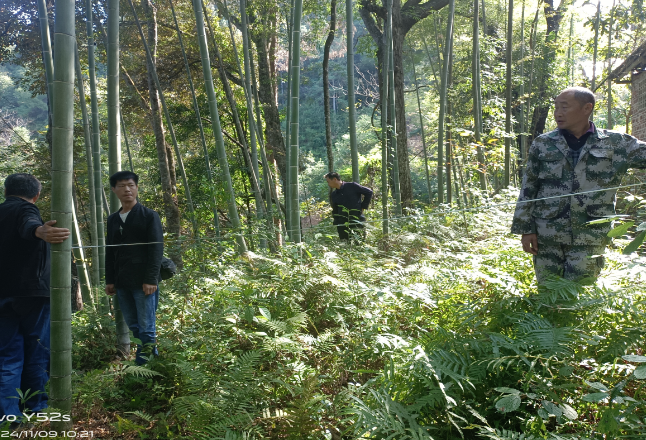 直击灾后重建 ▏滁口镇林泉村：兴建铁塔 提升信号质量