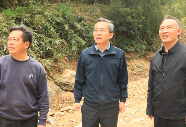 杨理诚调研灾后恢复重建工作