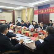 两会动态 | 王仁庆参加人大代表团分团审议