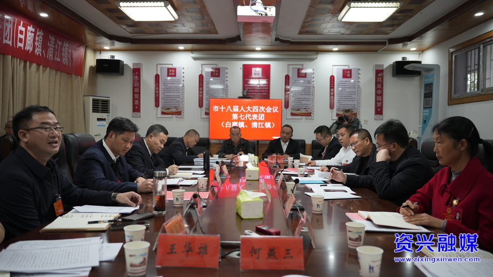 两会动态 | 赖胜民参加人大代表团分团审议