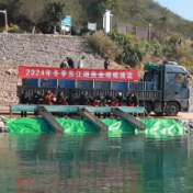 资兴：10.75万公斤鱼苗游入东江湖