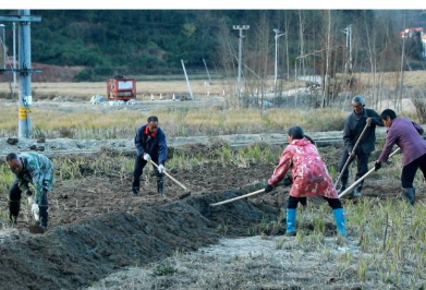 直击灾后重建 ▏州门司镇塘家湾村：农田修复“加速度”