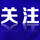 党员公职人员发生醉驾行为应如何适用条规和确定处分档次