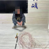 景观灯电缆屡次被盗 资兴公安亮剑斩“黑手”