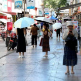 暑热“控场” “伏”气满满