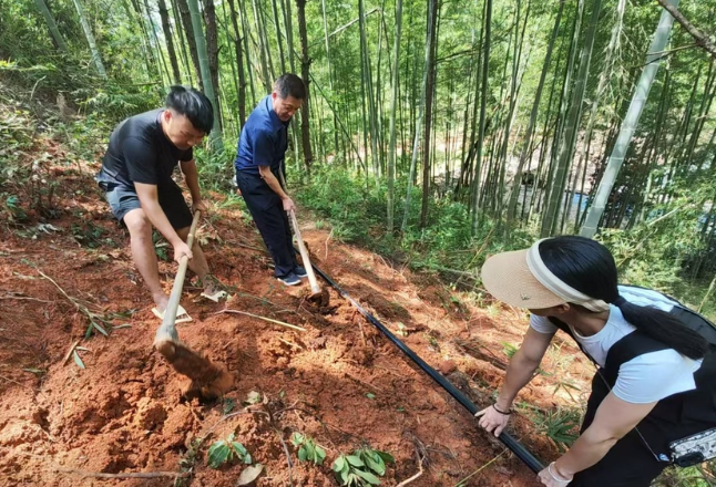 迎战“格美”▏何家山驻村工作队：众志成城 抗洪救灾在行动