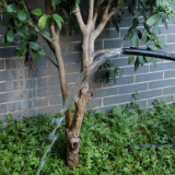 迎战“格美”▏州门司镇灾后供水工程成功通水