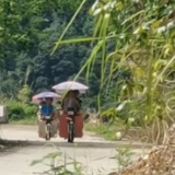 迎战“格美”▏滁口镇：香炉寨组村民爱心护航