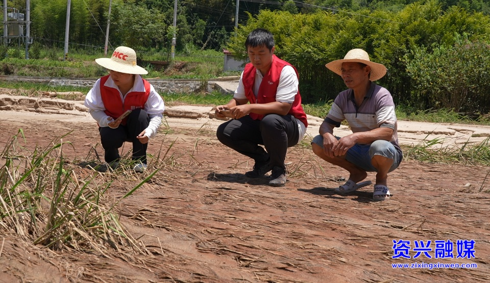 直击灾后重建|全力推进农业保险理赔 让受灾农户吃下定心丸