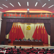 市计划生育协会换届选举