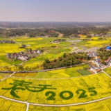 湖南日报系列·此心安处是东江③丨逐水而居，一个以蓼江为名的地方