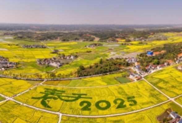 湖南日报系列·此心安处是东江③丨逐水而居，一个以蓼江为名的地方