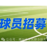 球员招募