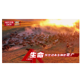 全国首个4K超高清频道正式开播